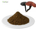 Wild Organic Ganoderma Lucidum Reishi Mushroom Powder Reishi Powder